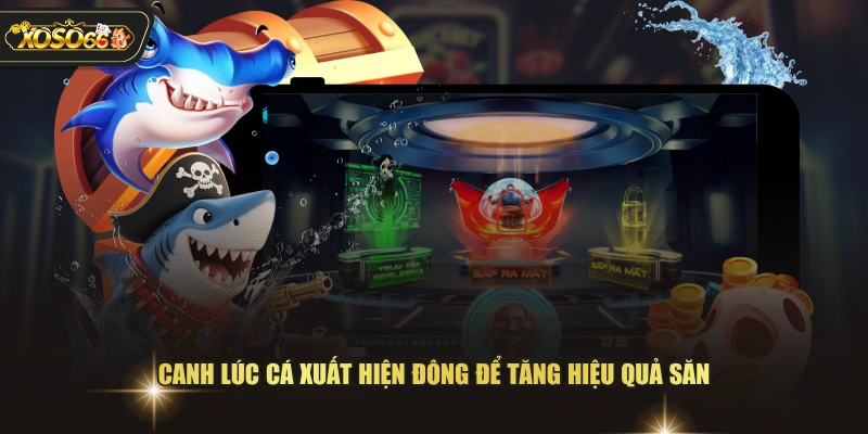 Chiến Thuật Bắn Cá Zagoo XOSO66 Giúp Tối Ưu Từng Lượt Bắn 4 Chiến Thuật Bắn Cá Zagoo XOSO66 Giúp Tối Ưu Từng Lượt Bắn Canh lúc cá xuất hiện đông để tăng hiệu quả săn