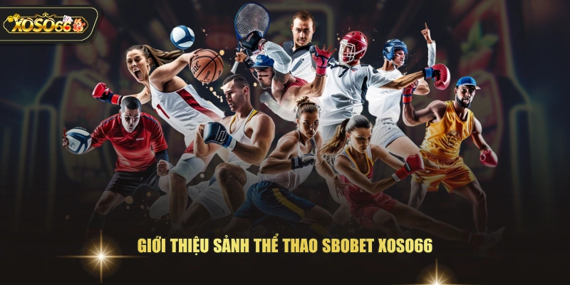 SBOBET XOSO66 - Sảnh Cược thể thao Ăn Khách Nhất 2026 2 SBOBET XOSO66 - Sảnh Cược thể thao Ăn Khách Nhất 2026 Giới thiệu sảnh thể thao SBOBET XOSO66