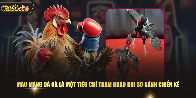 Cách Xem Màu Mạng Đá Gà Dựa Theo Quy Luật Ngũ Hành 2 Cách Xem Màu Mạng Đá Gà Dựa Theo Quy Luật Ngũ Hành Màu mạng đá gà là một tiêu chí tham khảo khi so sánh chiến kê
