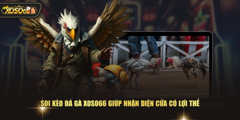 4 Mẹo Soi Kèo Đá Gà XOSO66 Giúp Chọn Chiến Kê Tiềm Năng 2 4 Mẹo Soi Kèo Đá Gà XOSO66 Giúp Chọn Chiến Kê Tiềm Năng Soi kèo đá gà XOSO66 giúp nhận diện cửa có lợi thế